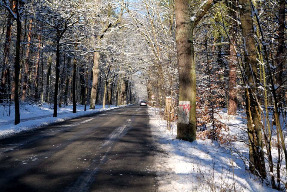 Havelchaussee with snow 2021-01-31 01