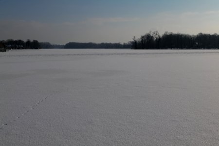 Havel with Valentinswerder with ice and snow from Hakenfelde 2021-02-10 11