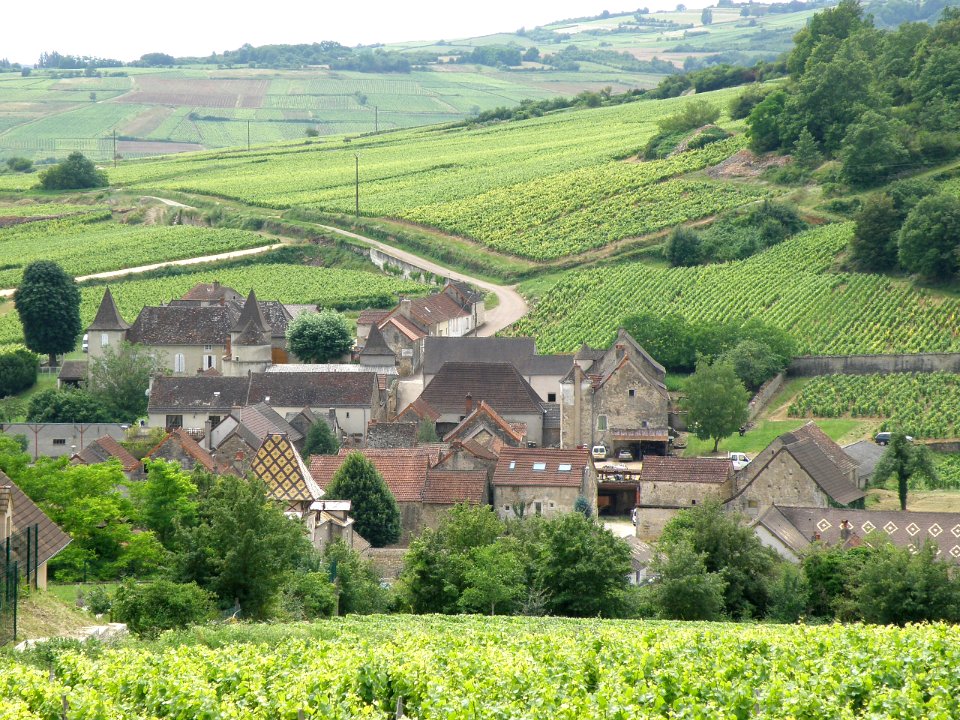 Haut Santenay Vue d'ensemble 18