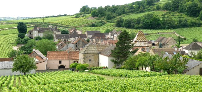 Haut Santenay Vue d'ensemble 19