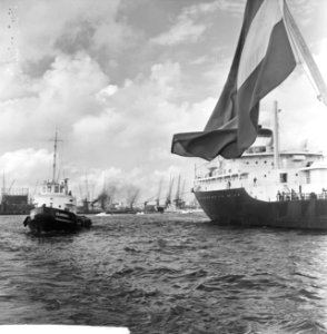 Havengezichten Rotterdam, sleepwerk in Waalhaven, Bestanddeelnr 918-1735
