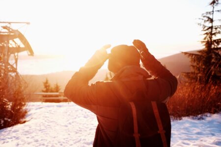Sun nature sunny
