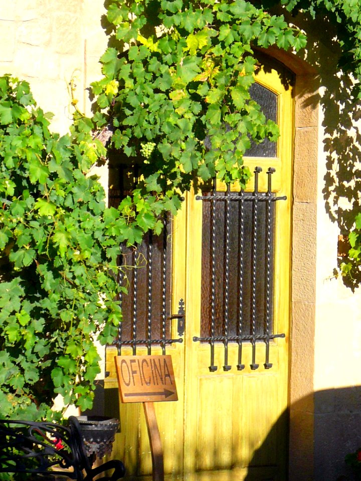 Haro - Bodegas Muga 05