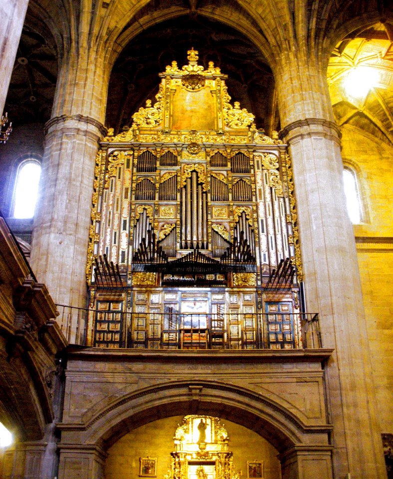 Haro - Santo Tomas 03