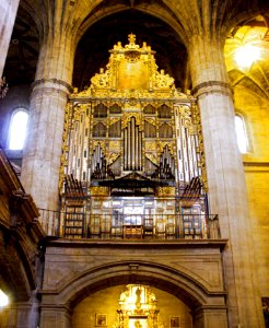 Haro - Santo Tomas 03