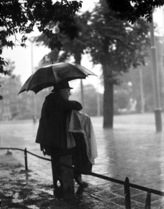 Harmonicaspeler in regen, Bestanddeelnr 904-0649