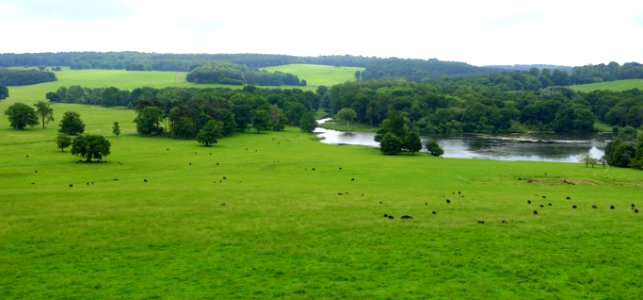 Harewood Gardens and Grounds - West Yorkshire, England - DSC02119