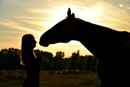Relationship dreamy friends