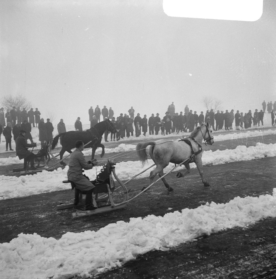 Harddraverij met paard en arreslee te Akkrum, de heer Van der Meer met paard Nel, Bestanddeelnr 914-6805