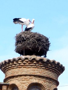 Haro - Palacio de las Bezaras 3
