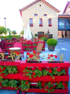Haro - Bodegas López de Heredia Viña Tondonia 21