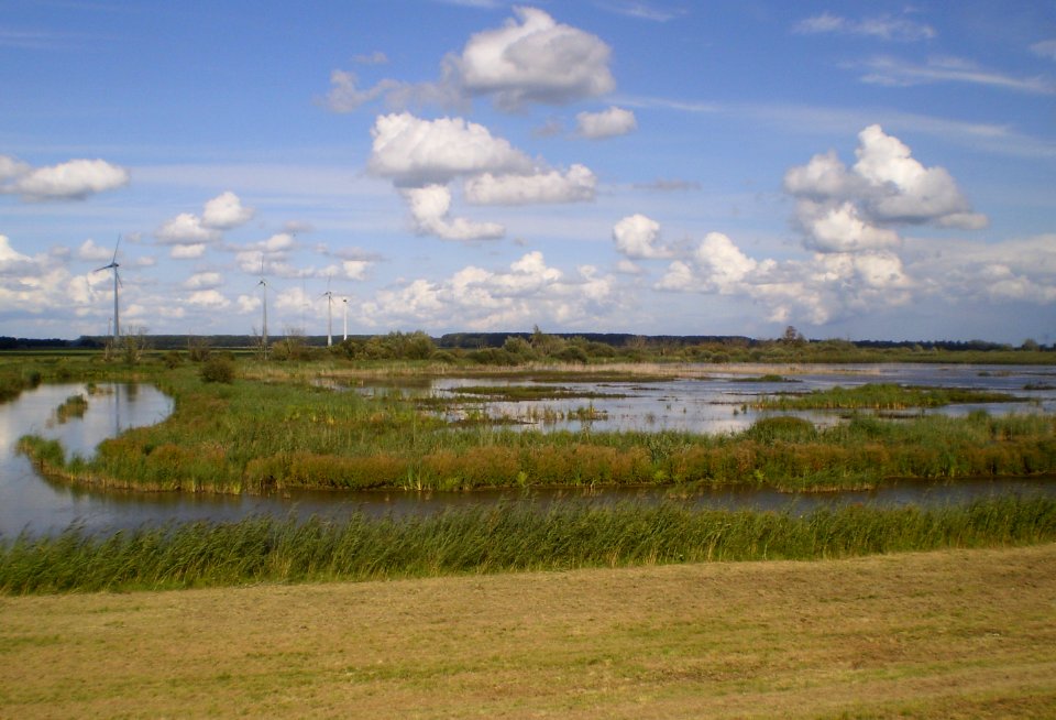 Harderbroek