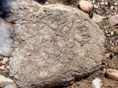 Harding Mine Cleavelandite