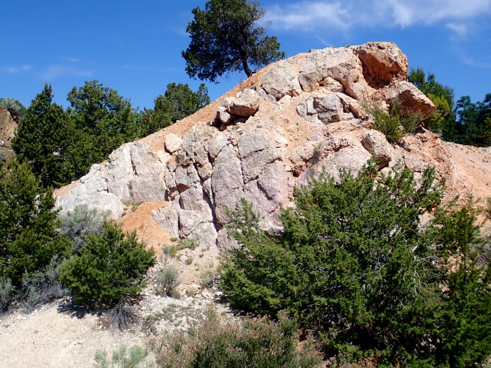 Harding spotted rock