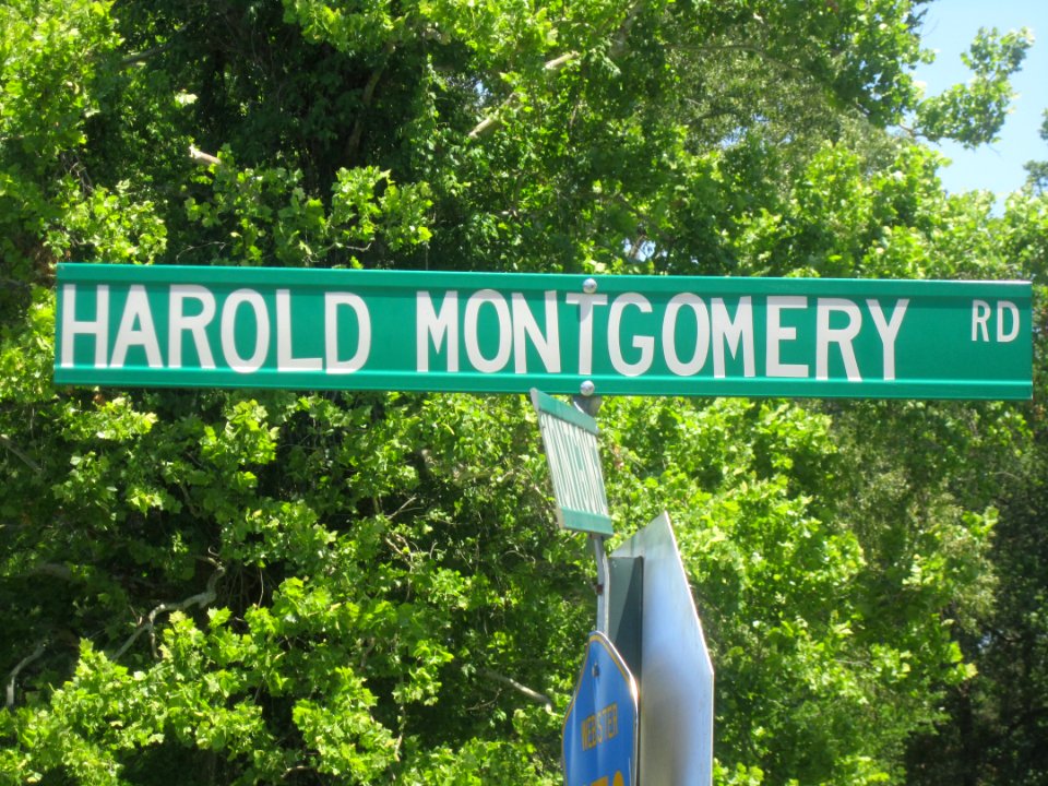 Harold Montgomery Road sign, Webster Parish, LA IMG 2510