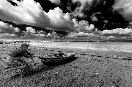 Hard Times Ii (61621175)