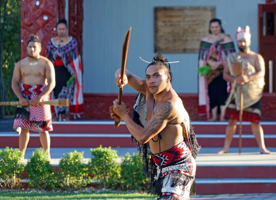 New zealand north island native american