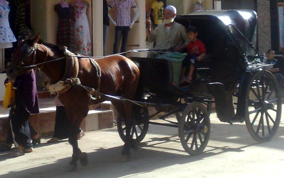 Hantour (Cabriolet) of Desouk