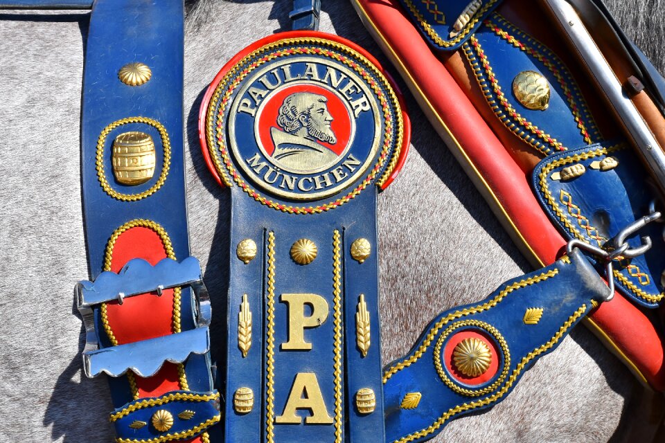 Saddle reiter oktoberfest