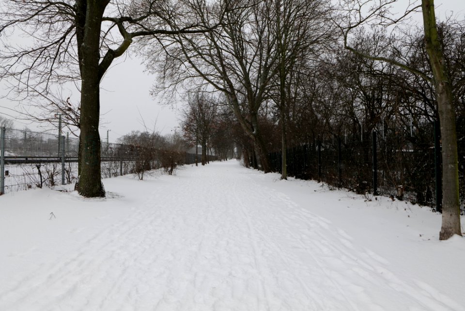 Hans-Baluschek-Park with snow 2021-02-08 01