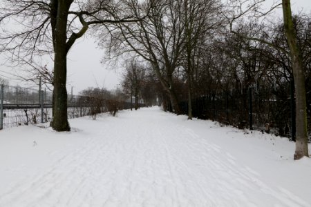 Hans-Baluschek-Park with snow 2021-02-08 01 photo