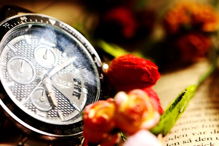 Clock flowers book