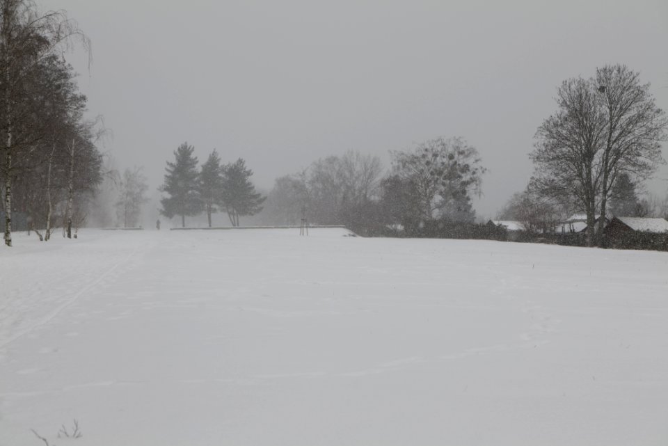 Hans-Baluschek-Park with snow 2021-02-08 09
