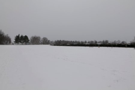 Hans-Baluschek-Park with snow 2021-02-08 05 photo