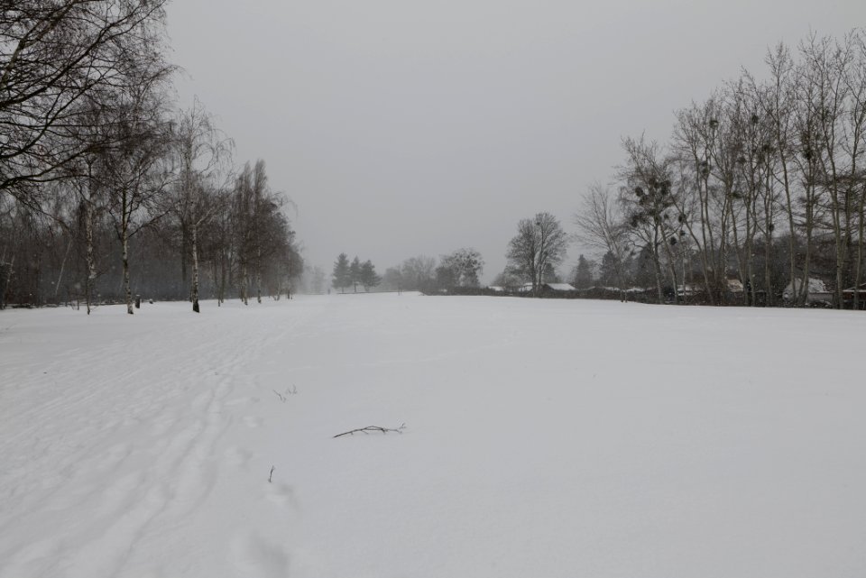 Hans-Baluschek-Park with snow 2021-02-08 08