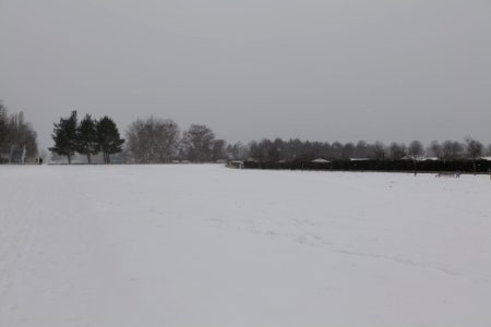 Hans-Baluschek-Park with snow 2021-02-08 06
