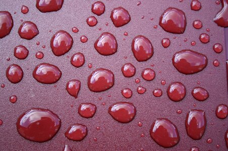 Rain drops water macro photo