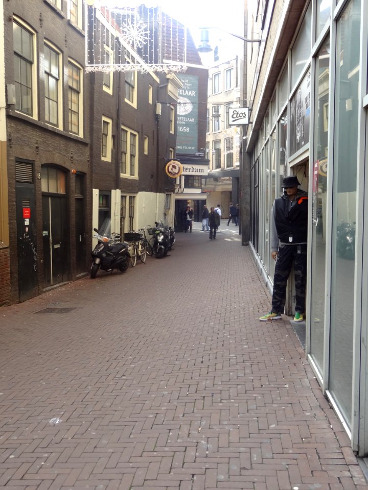 Hasselaerssteeg