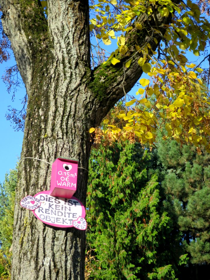 Hans-Mielich-Platz München 18