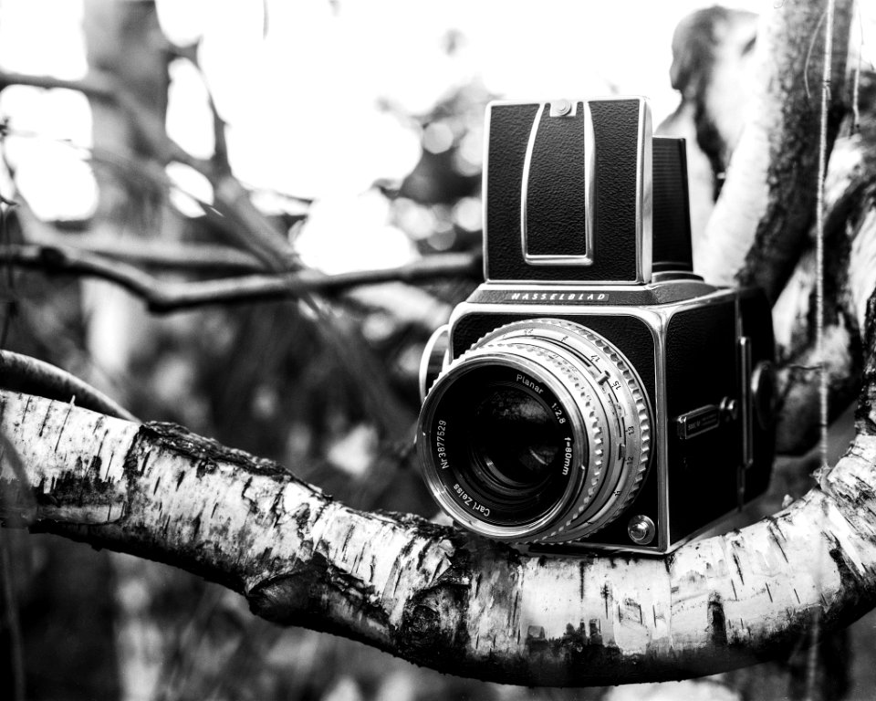 Hasselblad (187055079)