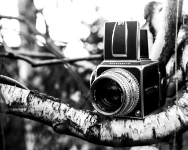 Hasselblad (187055079)