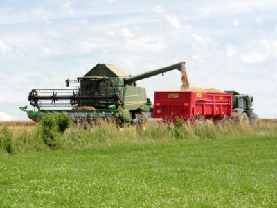 Harbouey (M-et-M) la recolte
