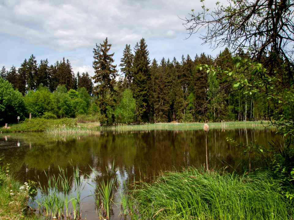 Hasenteich Altenbrak