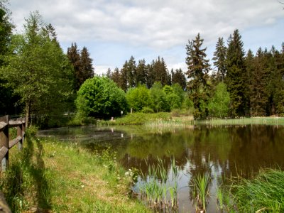 Hasenteich Altenbrak (2)