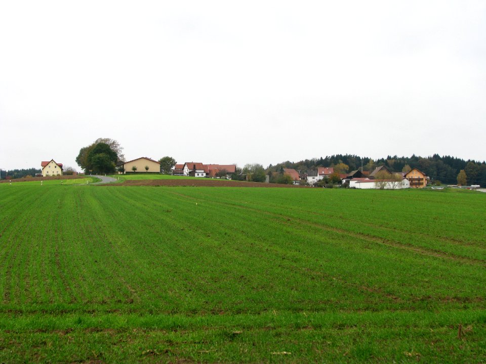 Haslach (Berg NM) (3)