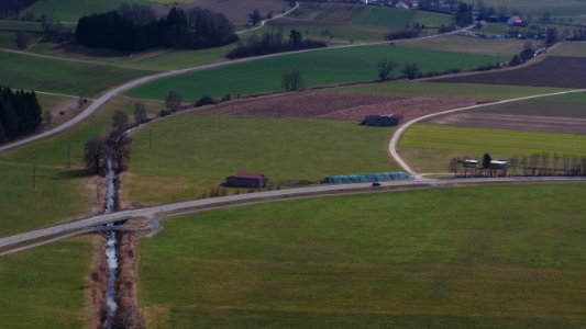 Hasel bei Mindelrieder Paradies (02)