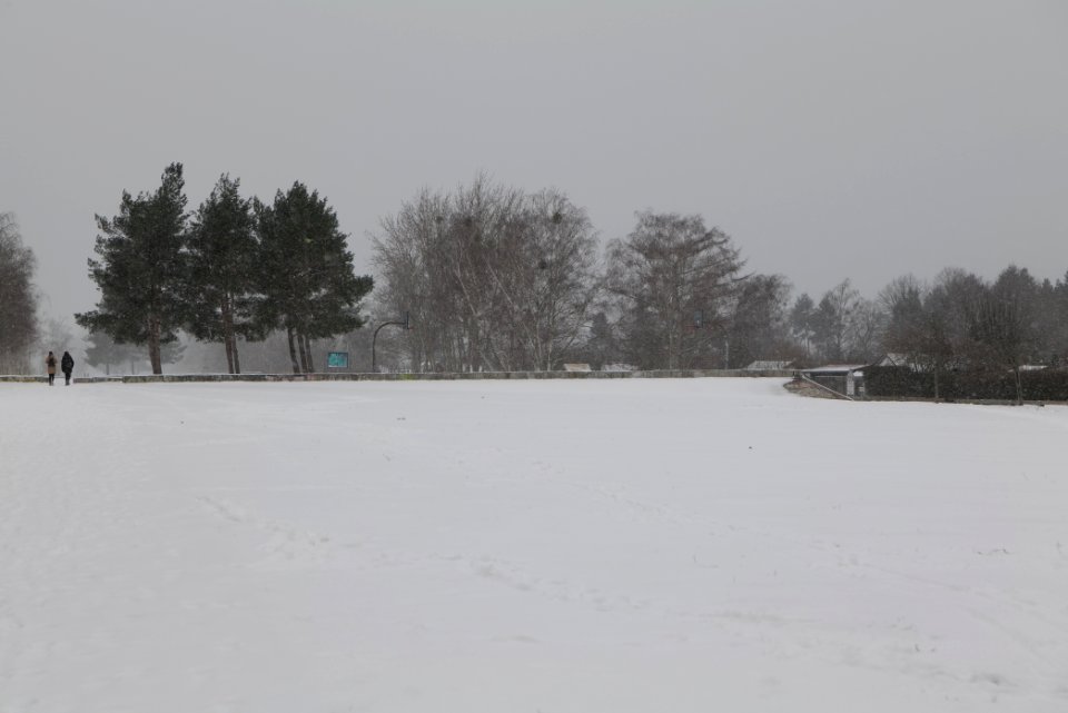 Hans-Baluschek-Park with snow 2021-02-08 04