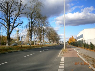 Haselhorst-Daumstraße