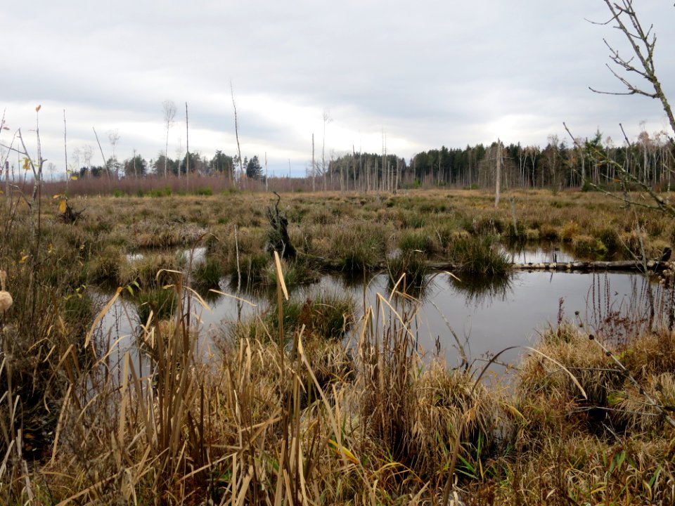 Haspelmoor 2