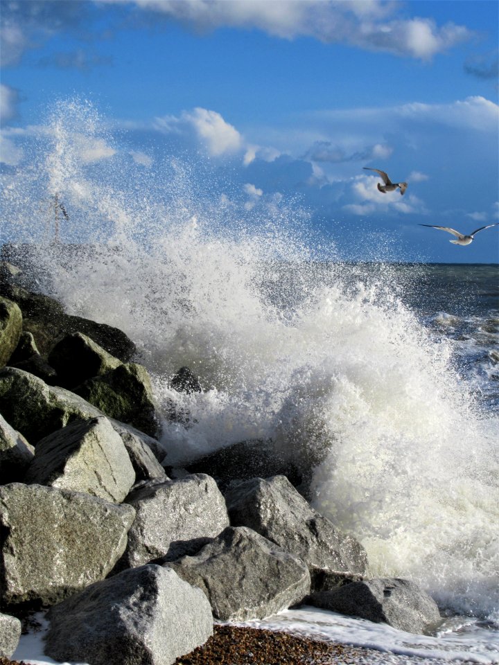 Hastings Beach, Nov 2020 05