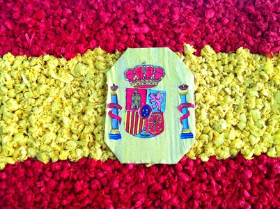 Flag country craft