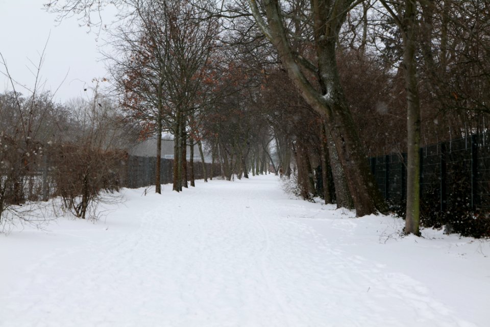 Hans-Baluschek-Park with snow 2021-02-08 02