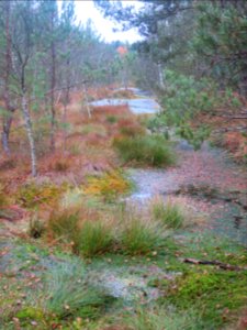 Haspelmoor 7