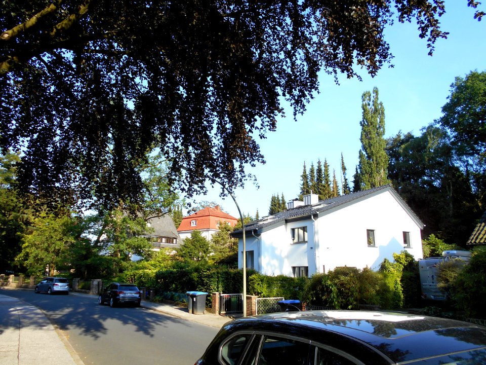 Haselhain