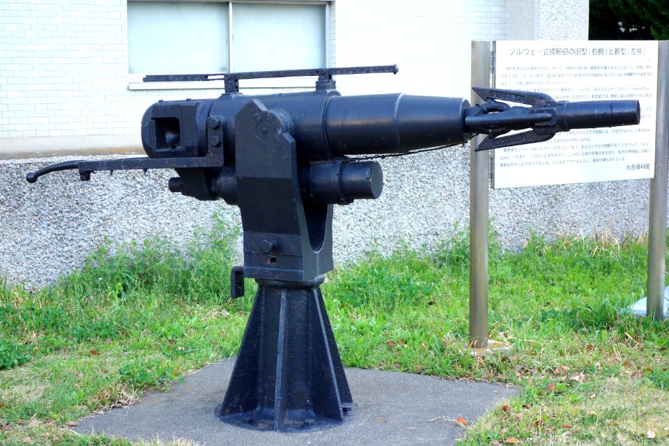 Harpoon gun - Tokyo University of Marine Science and Technology - DSC00891