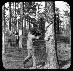 Harswinning , Bestanddeelnr 193-0712